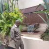 JUSTIN NDWIGA