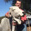Andries van der Walt