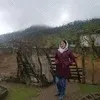 malihe Ziaee