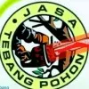 Jasa Tebang Pohon Kota Cirebon