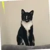 Michelle