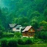 zain mir