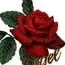 Sheyam Seema