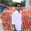 Virendra Yadav
