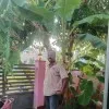 Rajamanickam