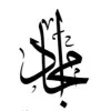 Amjad Alsulaiman