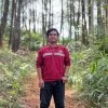 Aloysius Dimas Darmawan