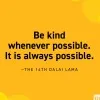 Andrea Drechsler