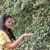 Maheshwari MohanKumar