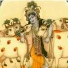 Srikant Yadav