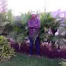 mankesh meena