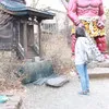 Shiyingxue Li