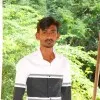 Harisha