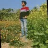 Dip Das
