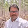 M Sharma