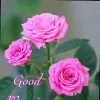 SaiKrishna Yadav