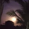Gauri Ghorpade