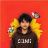 Abhishek Shrestha