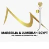 Noha Mahmoud Elhawy