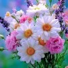 Mian Abrar Abr