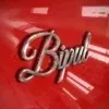 Bipul Kumar