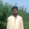 shahban ali