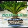 ING OMAR GLEZ VALAY