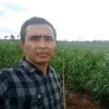 Herry Gustian