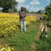 Subba Reddy
