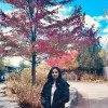 Navya Katragadda