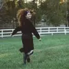 Taylor Di Meola