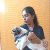 Chinmayie