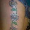 Daisy Chains