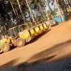 Felister Njogu