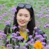 Yun Zhu