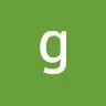 green hornet