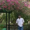 Shreyansh Kumar Singh