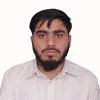 Muhammad Ameer Hamza