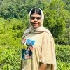 Nihala