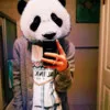 Don Bui