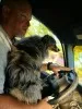 Robert Dunn