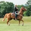 Chance Dearing