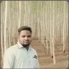 MOHAMMED MAULA