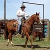 Curtis Ferguson