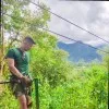 David Fernando Flores