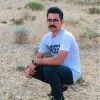 nader gholamshahi