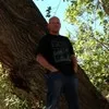 Mark Bull