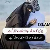 Abdul Wadood Alam Sheikh