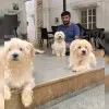 Varun Gowda