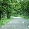 Himanshu Sekhar Barik